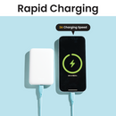 Type C to Type C Neo Cable